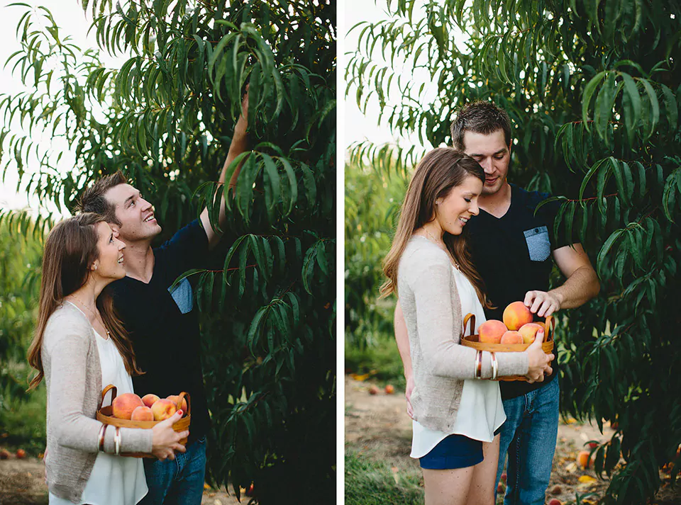 Pick Own Fruit 2023