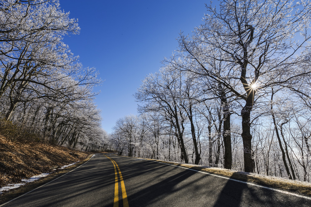 Road with trees and snowflakes.