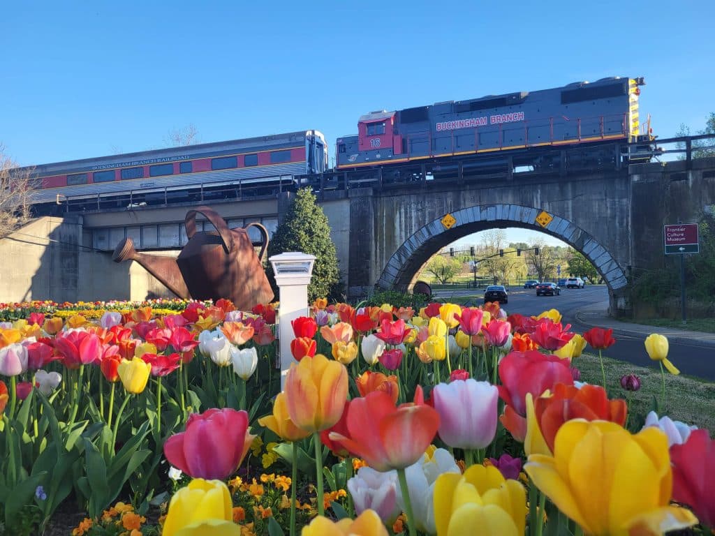 Tulips with train in the background.