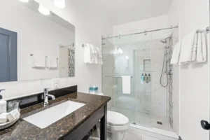Bathroom with granite vanity, walk-in shower, and white towels.
