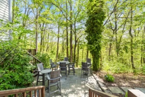Stone patio with outdoor seating nestled in a wooded area.