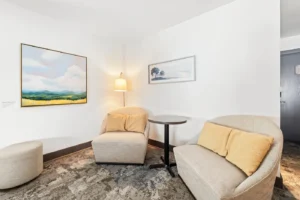 Woodland room with two chairs and small table.