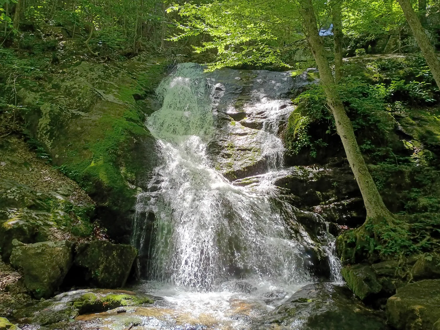 Cascading waterfall surrounded by lush forest near Waynesboro, Virginia.