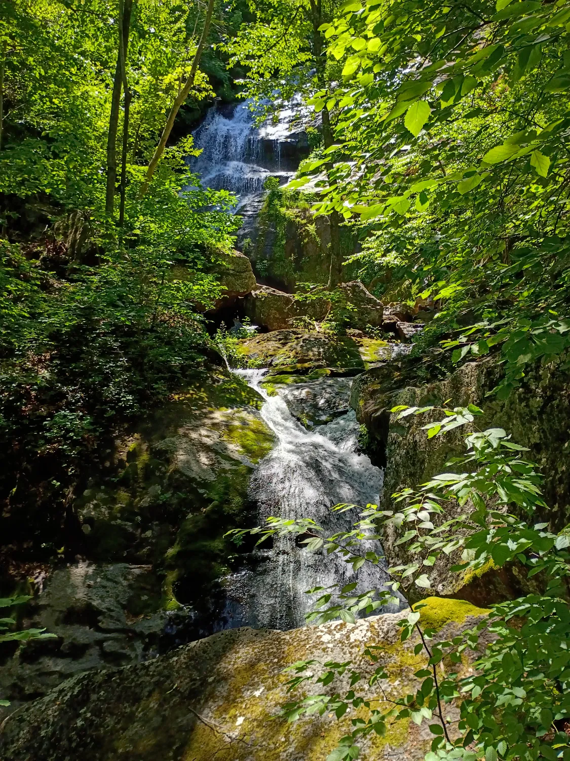 Scenic waterfall flowing through a wooded hiking trail in Virginia.
