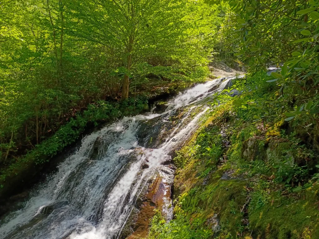 Mountain stream cascading over moss-covered rocks in the Blue Ridge Mountains.