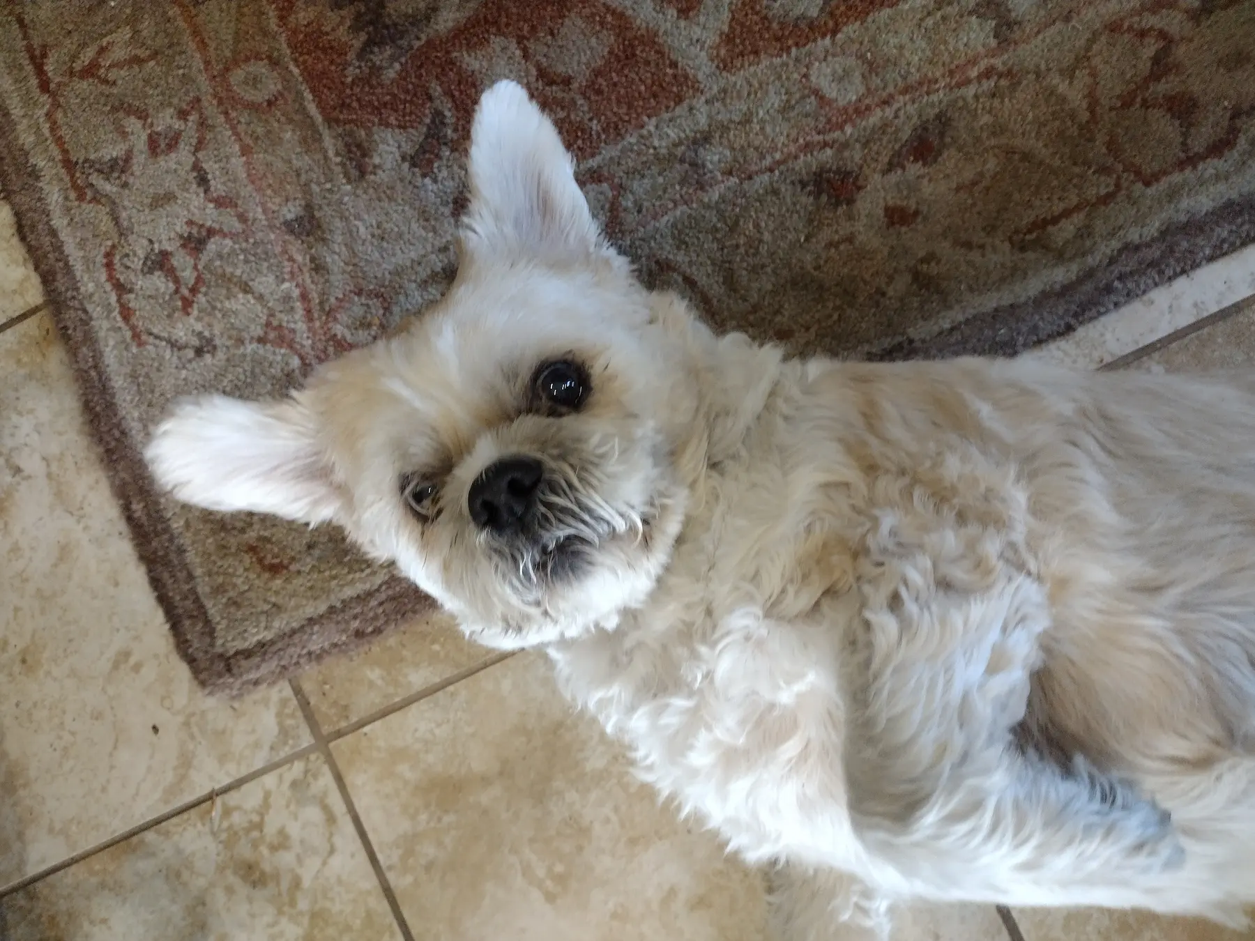 The late and great, Charlie.